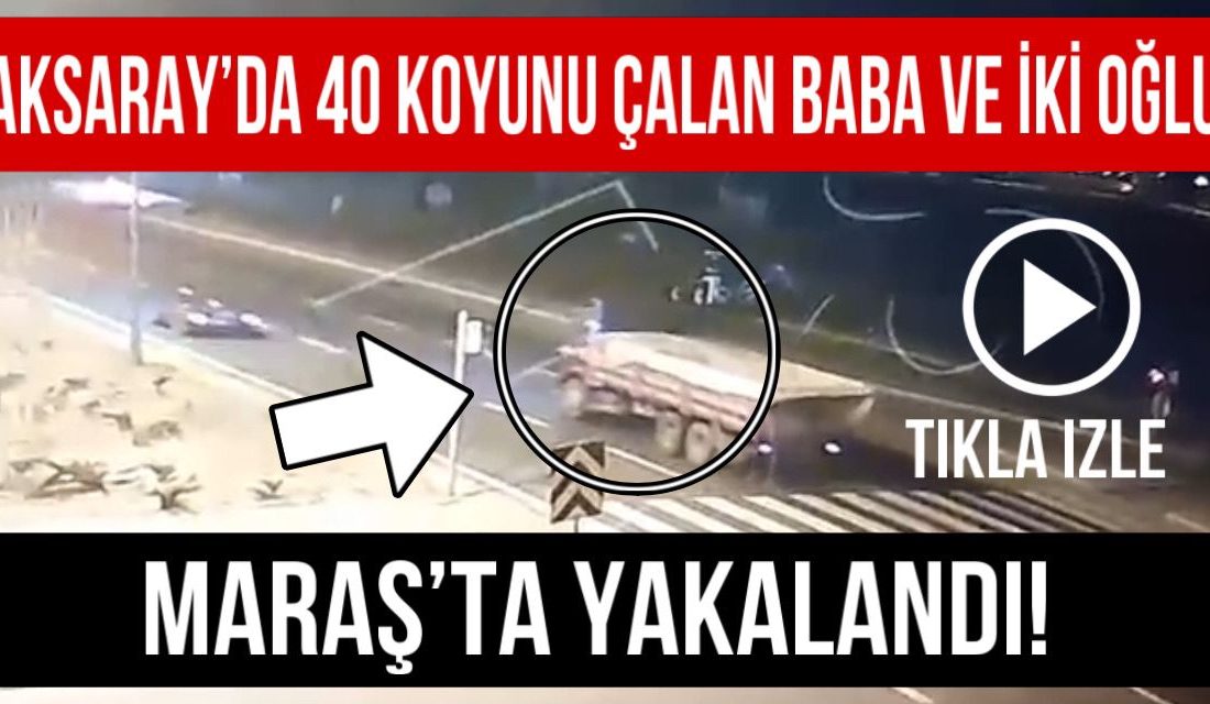 Aksaray’ın Ağaçören ilçesinde geçtiğimiz günlerde 40 koyun çalınmıştı. Olayın