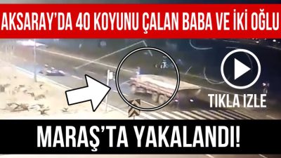 Aksaray’ın Ağaçören ilçesinde geçtiğimiz günlerde 40 koyun çalınmıştı. Olayın
