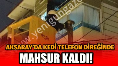 Aksaray’ın Ortaköy ilçesinde bir telefon direğine çıkan kedi mahsur kaldı.