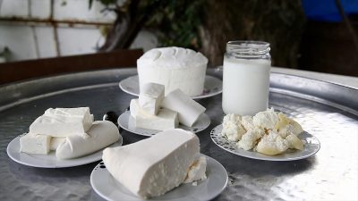 Türkiye Süt, Et, Gıda Sanayicileri ve Üreticileri Birliği (SETBİR) Yönetim