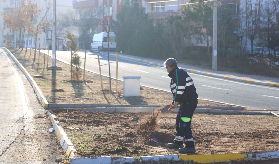 Aksaray Belediyesi, Yunus Emre