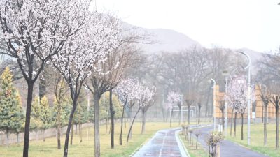 “Mart kapıdan baktırır, kazma kürek yaktırır” atasözü bu yıl da