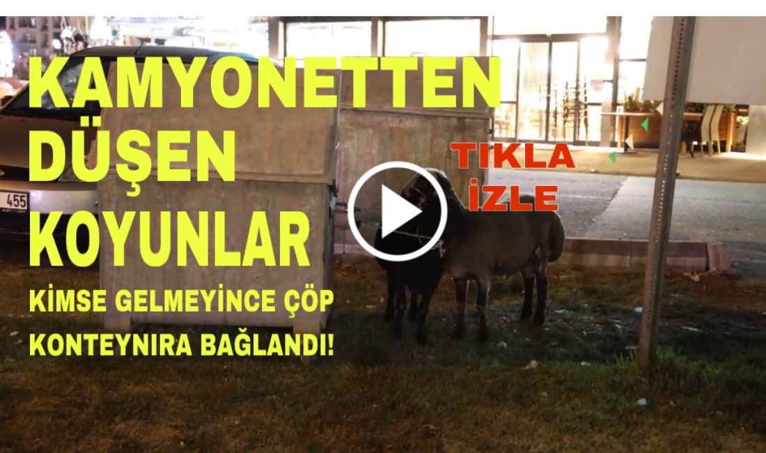 Aksaray’da gece saatlerinde kamyonetten