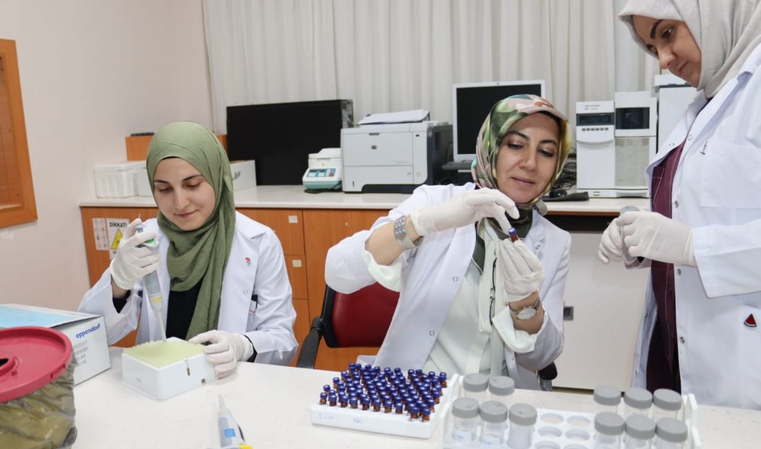 Selçuk Üniversitesi (SÜ) Tıp Fakültesi Biyokimya Ana Bilim Dalı Öğretim