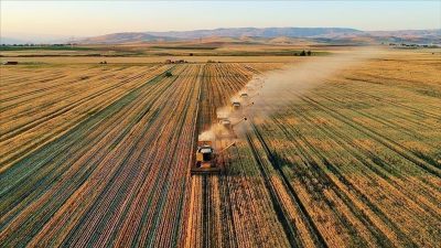 Aksaray İl Tarım Orman Müdürlüğü, 2025 yılına yönelik tarım destekleri