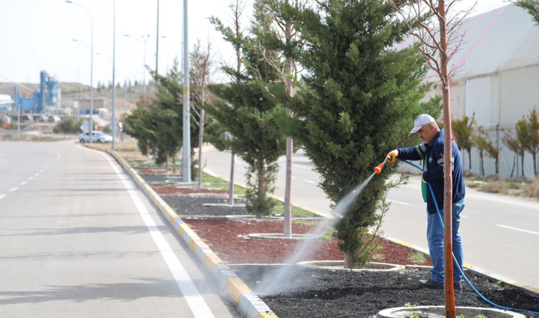 Aksaray Belediyesi, şehir genelindeki