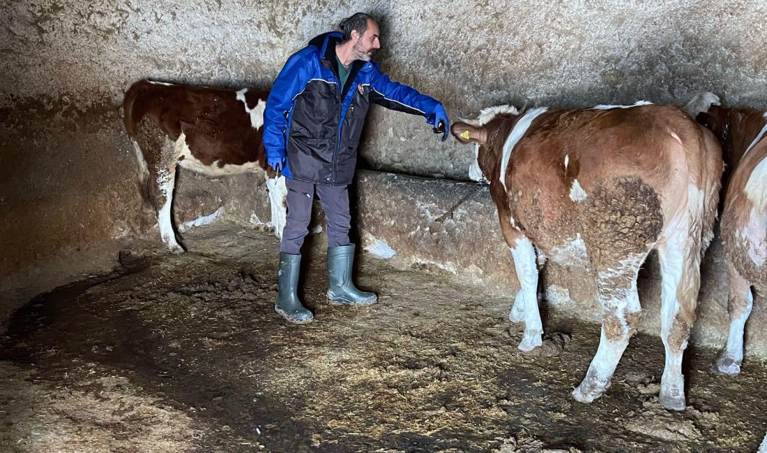 Ağaçören İlçe Tarım ve