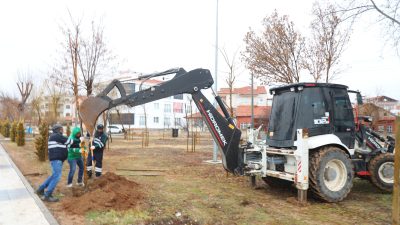Aksaray Belediyesi, şehrin dört bir yanını yeşillendirerek daha temiz hava