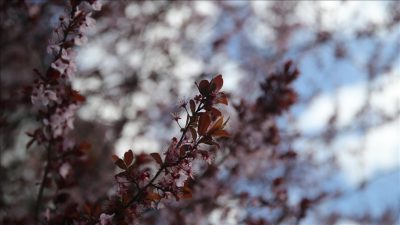 Hava sıcaklıklarındaki ani yükseliş ve düşüşlerin özellikle mevsim geçişlerinde hastalıkların