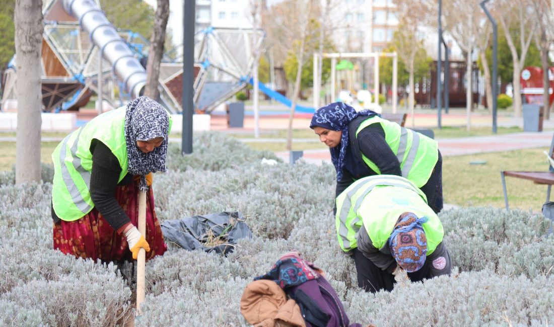Aksaray Belediyesi, şehrin yeşil