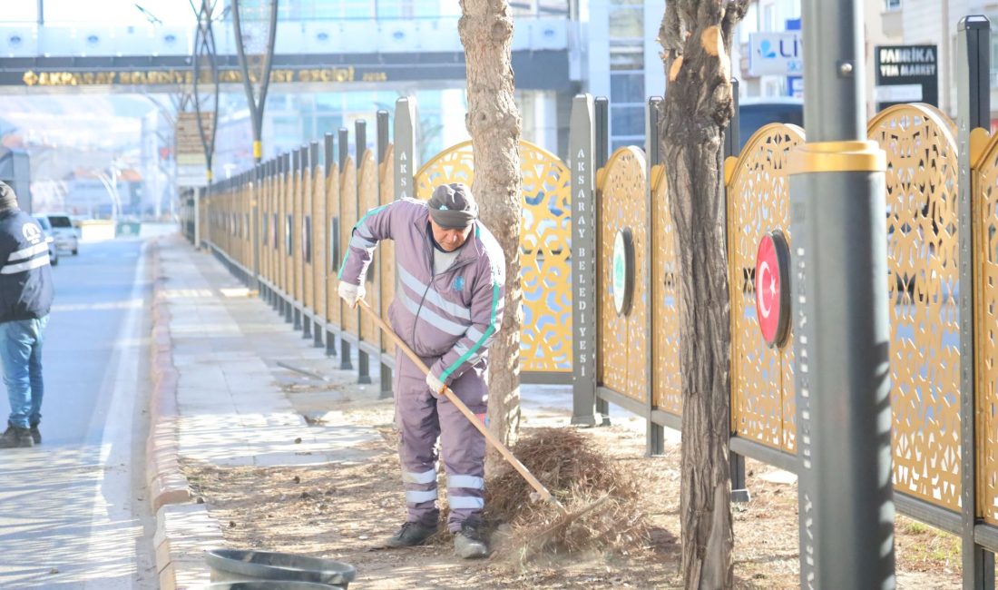 Aksaray Belediyesi, şehir genelinde