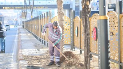 Aksaray Belediyesi, şehir genelinde refüj ve orta alanlarda peyzaj düzenleme