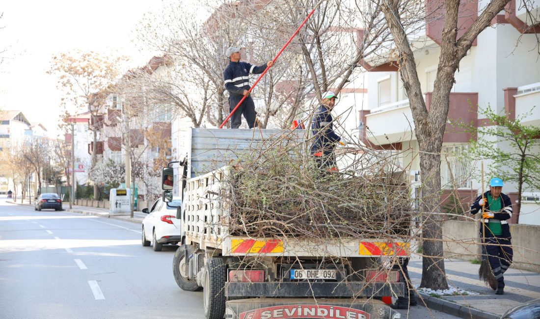 Aksaray Belediyesi, şehrin yeşil