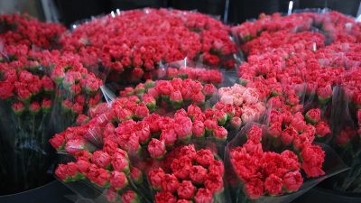 8 Mart Dünya Kadınlar Günü dolayısıyla Türkiye’den 34 ülkeye 75