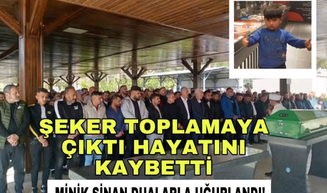 Aksaray’ın Çimeli Yeniköy köyünde
