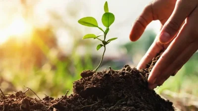 Tarım ve Orman Bakanlığı tarafından yürütülen ormancılık çalışmaları kapsamında Türkiye’nin