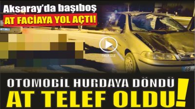 Aksaray’da seyir halinde olan otomobil aniden yola çıkan ata çarptı.