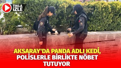 Aksaray'da sığındığı çevik kuvvet noktasında sahiplenilen ve "Panda" adı verilen