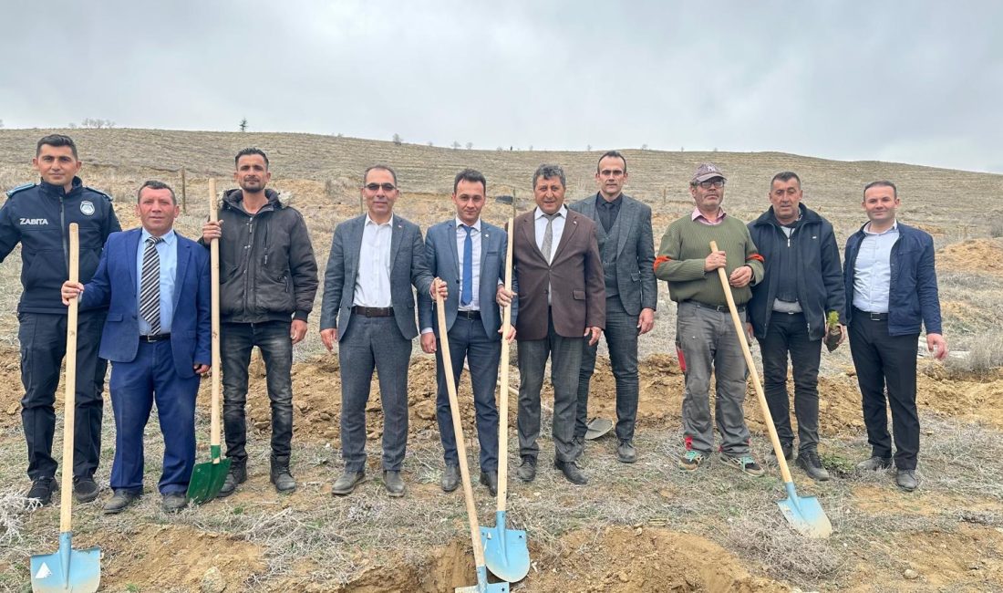 21-26 Mart Orman Haftası