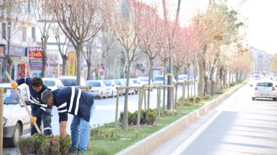 Aksaray Belediyesi, yeşil alanları koruyarak, doğayla uyum içinde bir şehir