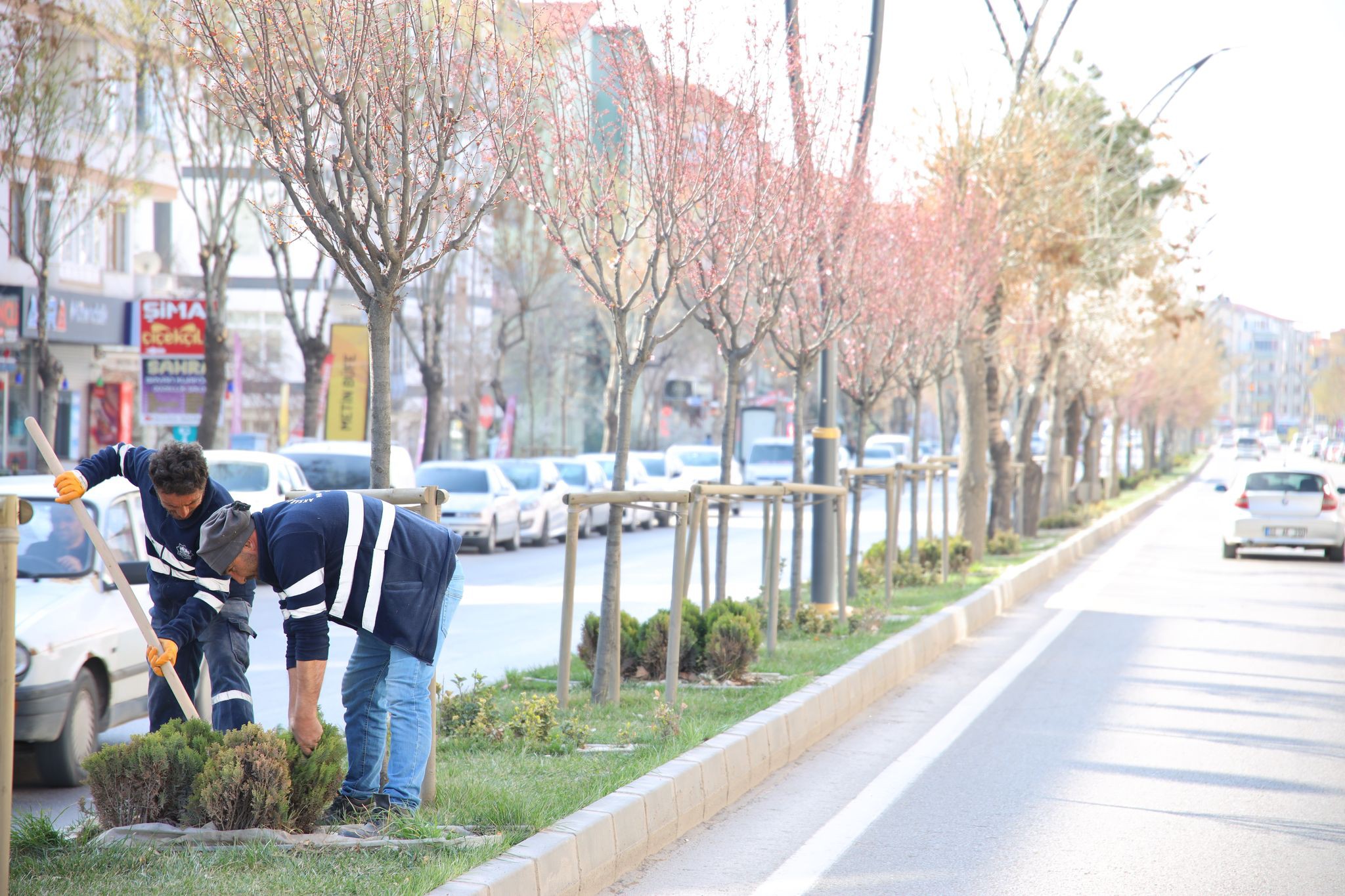 Aksaray’da doğayla uyumlu bir şehir için peyzaj çalışmaları hızla devam ediyor