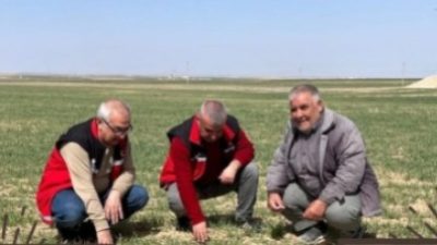 Aksaray İl Tarım ve Orman Müdürlüğü, tarımsal üretimin sürdürülebilirliğini sağlamak