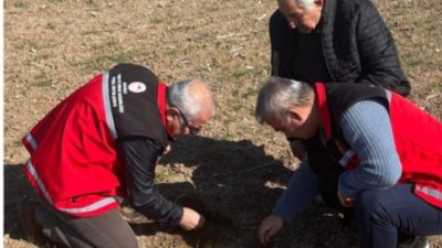 Aksaray Tarım ve Orman İl Müdürlüğü tarafından yürütülen hububat hastalıkları