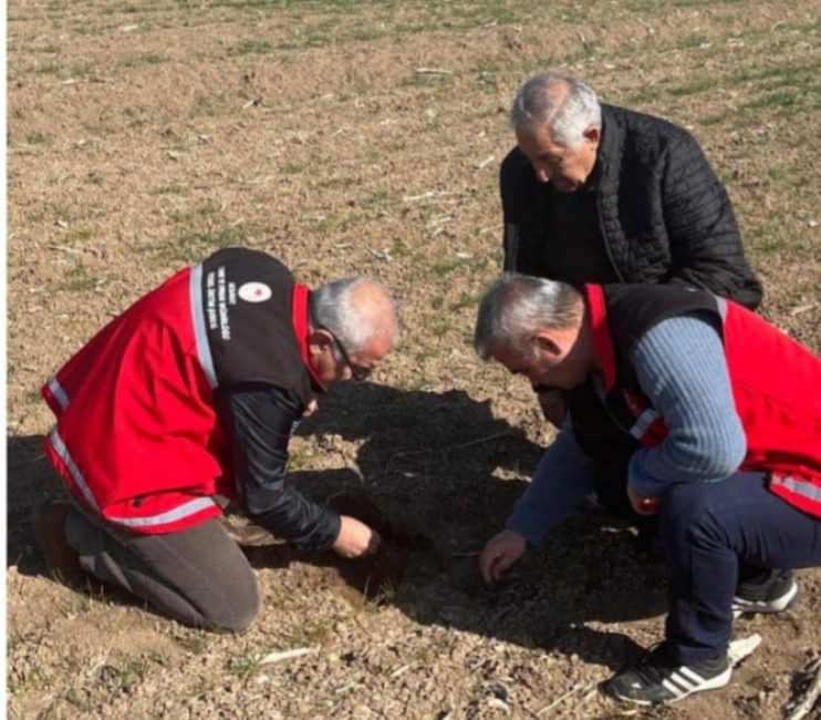 Aksaray Tarım ve Orman