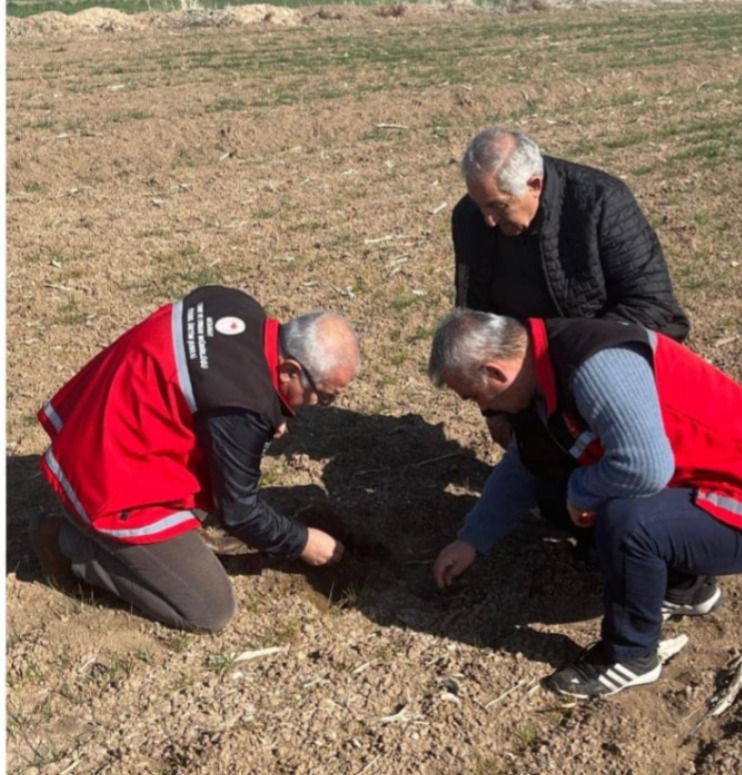 Aksaray Tarım ve Orman İl Müdürlüğü tarafından yürütülen hububat hastalıkları