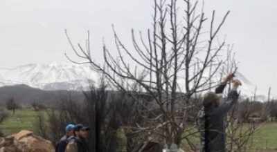Aksaray Tarım ve Orman İl Müdürlüğü ekipleri, bölgenin önemli yerel