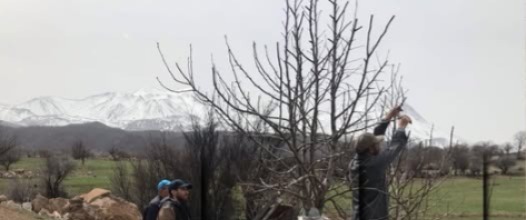 Aksaray Tarım ve Orman
