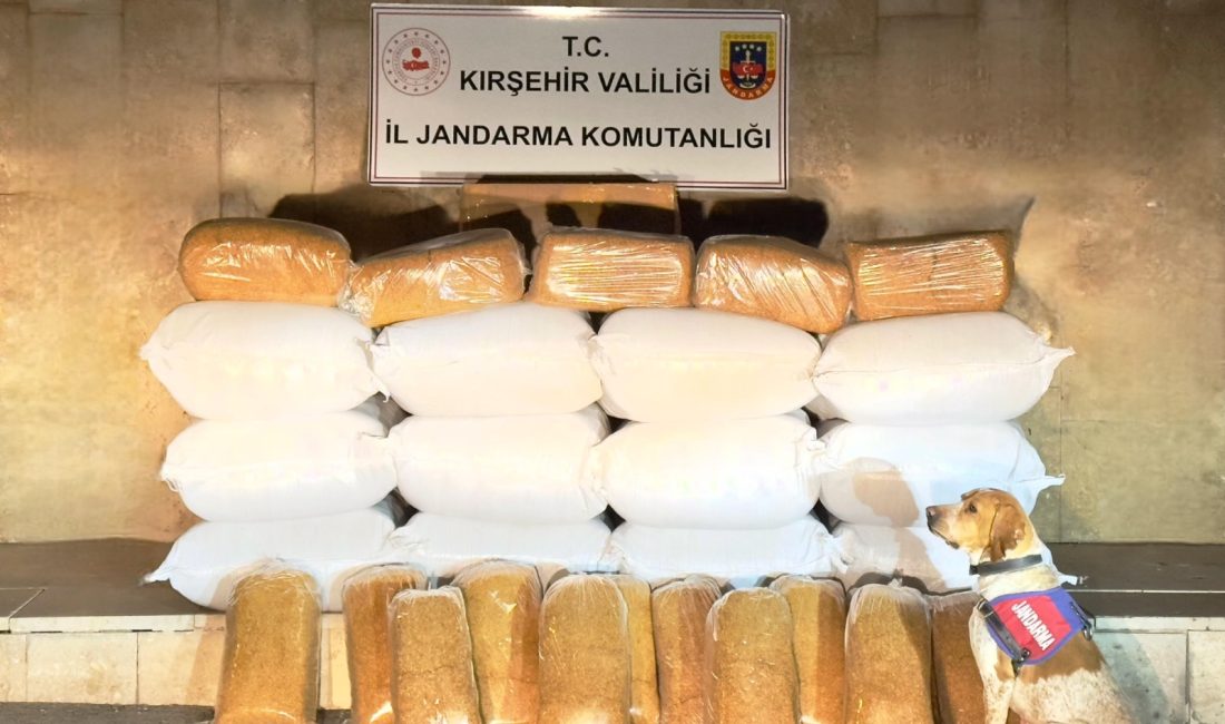 633 kilogram kaçak tütün ele geçirildi Kırşehir’de düzenlenen operasyonda 633