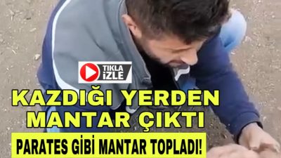 Aksaray’ın Eskil ilçesinde ilkbaharın bereketi ilginç bir olaya sahne oldu.