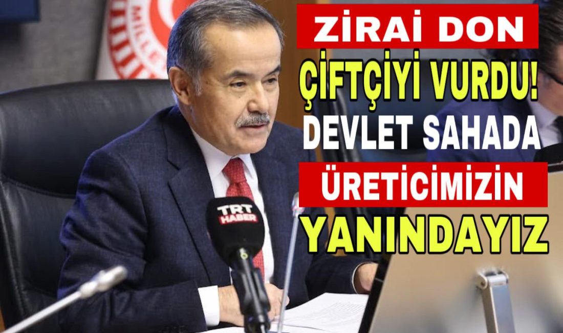 AK Parti Aksaray Milletvekili