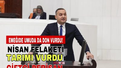 Türkiye’yi etkisi altına alan ani hava değişiklikleri, tarım sektöründe büyük