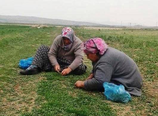 Aksaray’da baharın gelişiyle birlikte