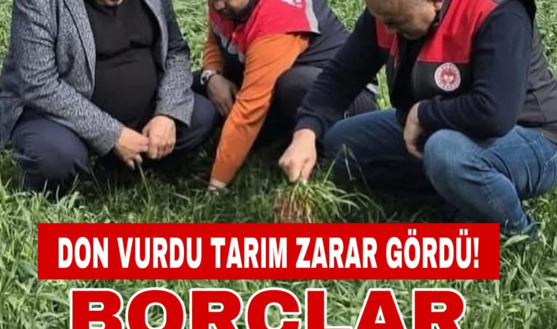 Aksaray Ziraat Odası Başkanı