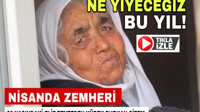 Aksaray’da Nisan ortasında yaşanan soğuk hava dalgası, sadece tarımı değil,