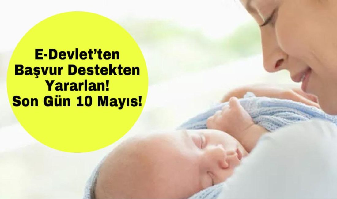 E-Devlet’ten başvur destekten yararlan! Son gün 10 Mayıs!