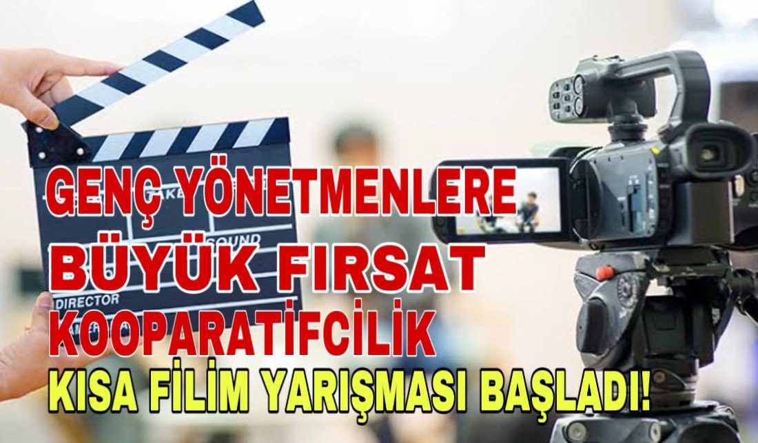 2025 yılı, Birleşmiş Milletler