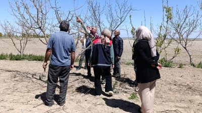 Aksaray'ın Eskil Halk Eğitimi Merkezi, İlçe Tarım ve Orman Müdürlüğü