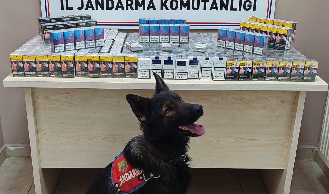 Kayseri'de gümrük kaçağı 670