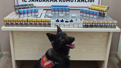 Kayseri'de gümrük kaçağı 670 paket sigara ele geçirildi.