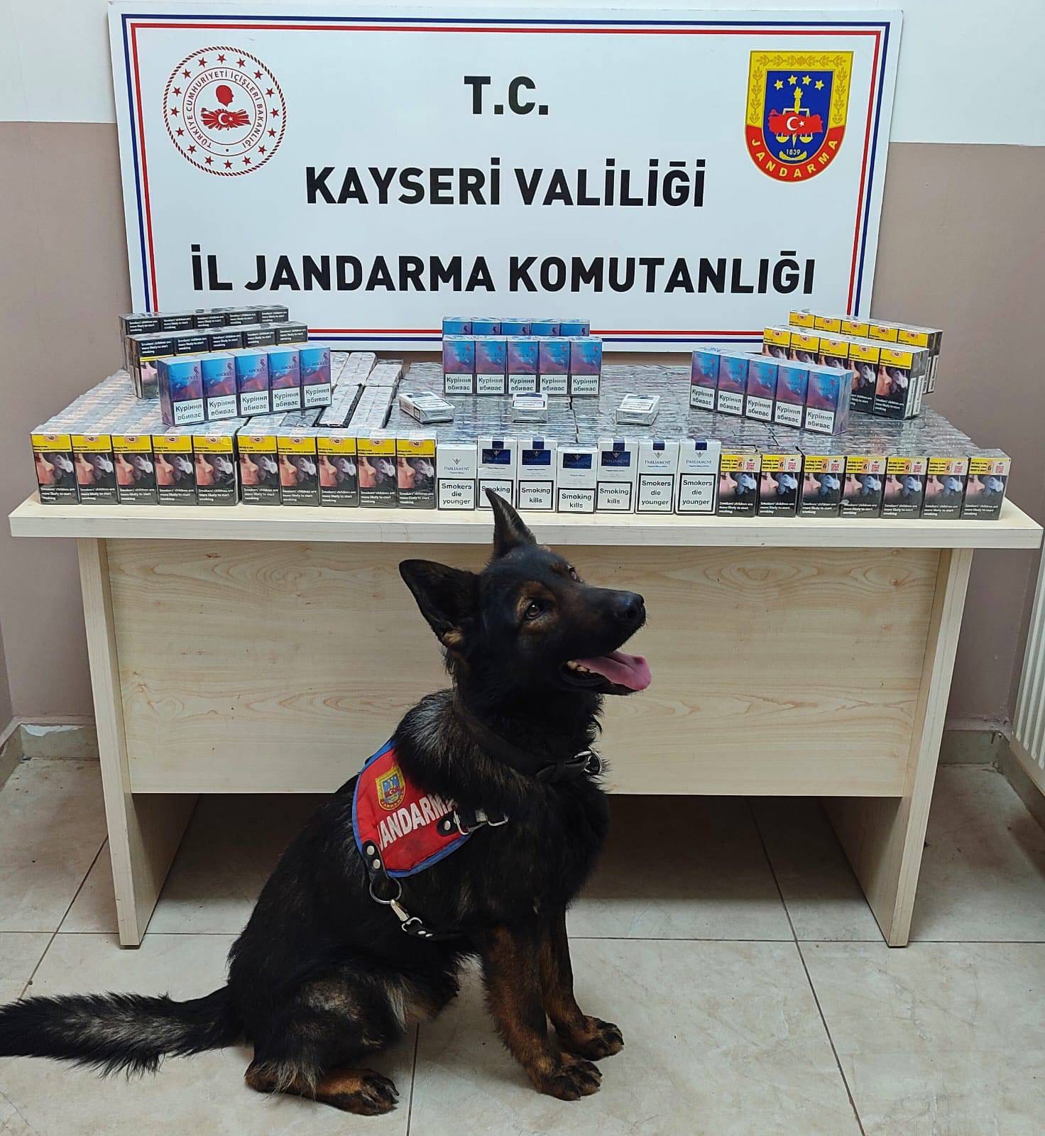 Kaçak sigara operasyonunda 670 paket sigara ele geçirildi