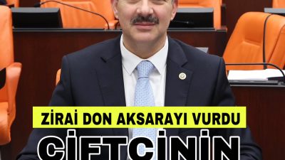 Aksaray ve çevresinde etkili olan zirai don felaketi, tarlalarda ve
