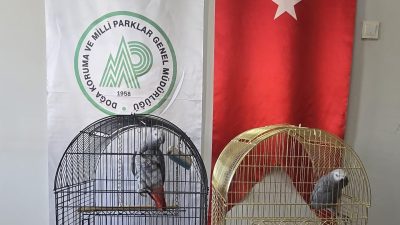 Aksaray Doğa Koruma ve Milli Parklar Müdürlüğü ekiplerinden kaçak hayvan