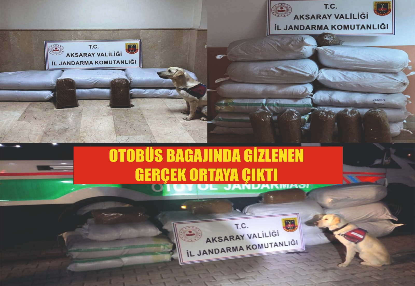 Otobüs bagajında gizlenen gerçek ortaya çıktı
