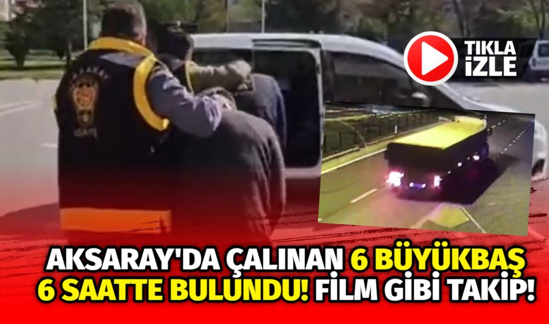 Aksaray’dan çalınan 6 büyükbaş
