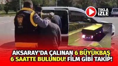 Aksaray’dan çalınan 6 büyükbaş hayvanın izini süren ekipler, tırı Gaziantep’te