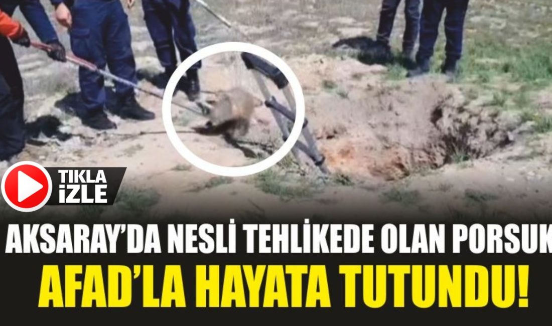 Aksaray’ın Ortaköy ilçesi sınırlarında yaşanan olay, doğa tutkunlarını hem duygulandırdı